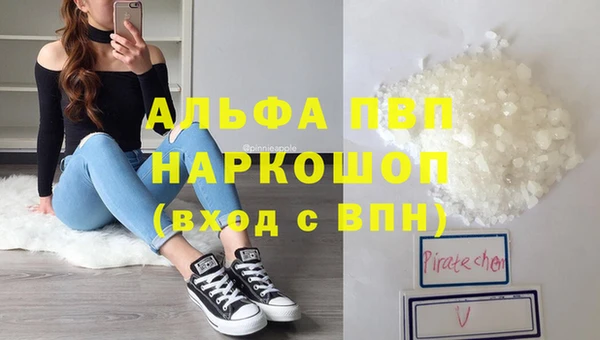 дживик Арсеньев