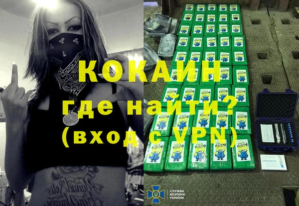 дживик Арсеньев