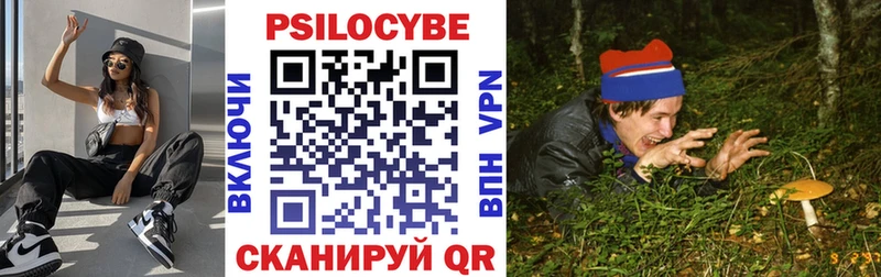 магазин  наркотиков  Полысаево  Галлюциногенные грибы Psilocybine cubensis 
